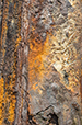 Patina 53